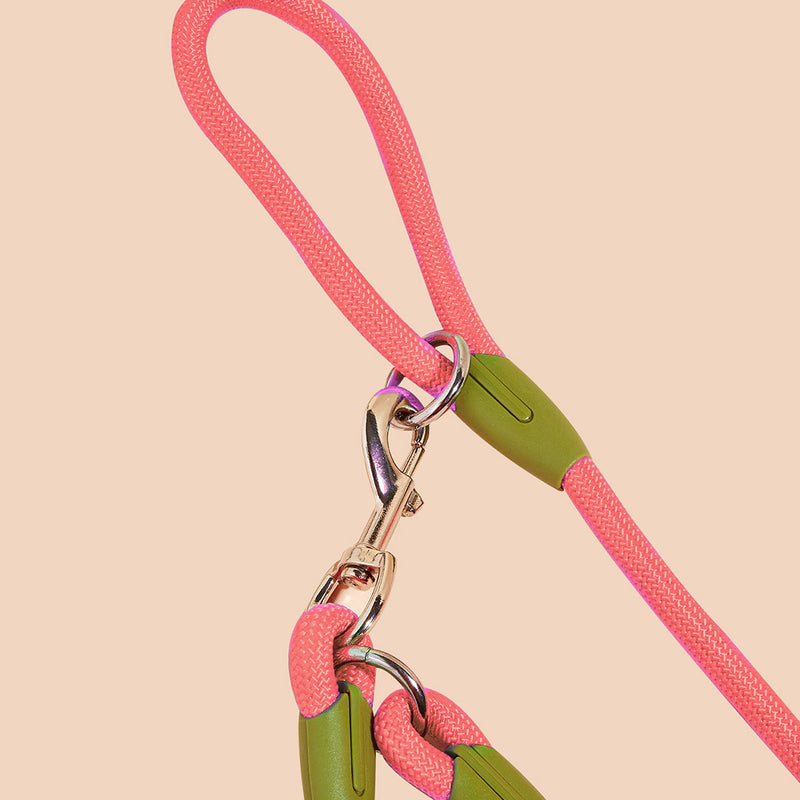2X 220cm Polyester Double Ended Rope Leash Hands Free 360 Swivel Pink For Dogs