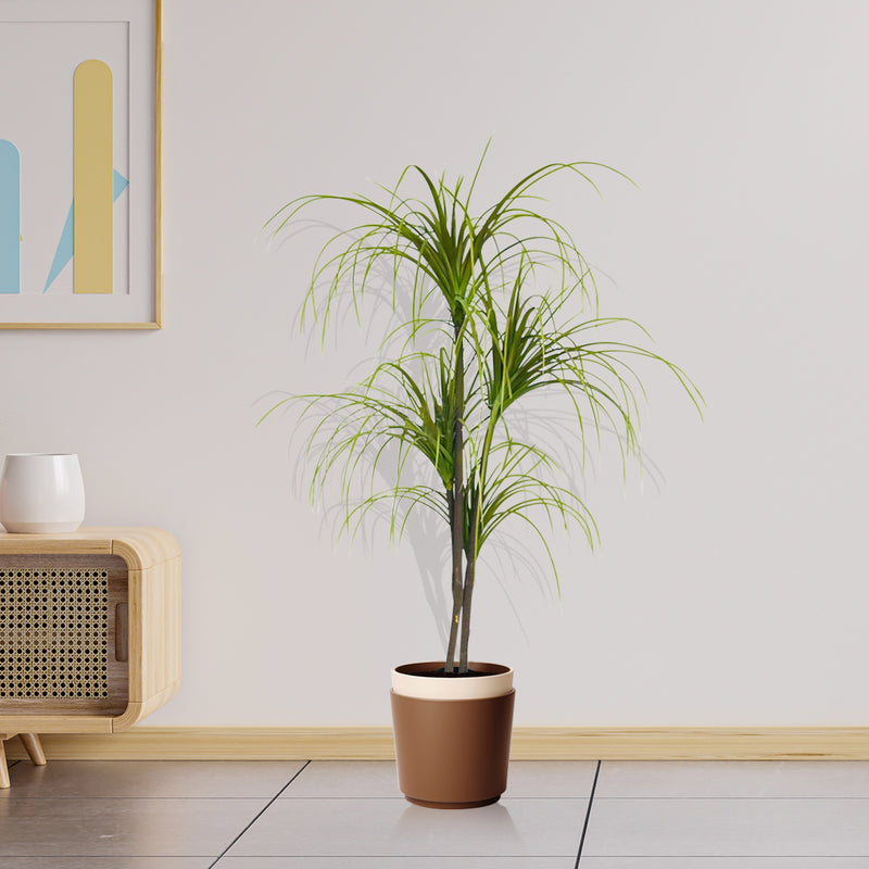 2X 150cm Faux Potted Polyscias Plant Polyurethane Green Realistic Indoor Outdoor