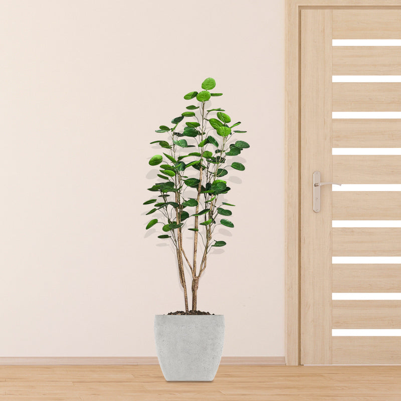 150cm Artificial Polyscias Scutellaria Tree Plastic PU Adjustable Green Indoor Decor