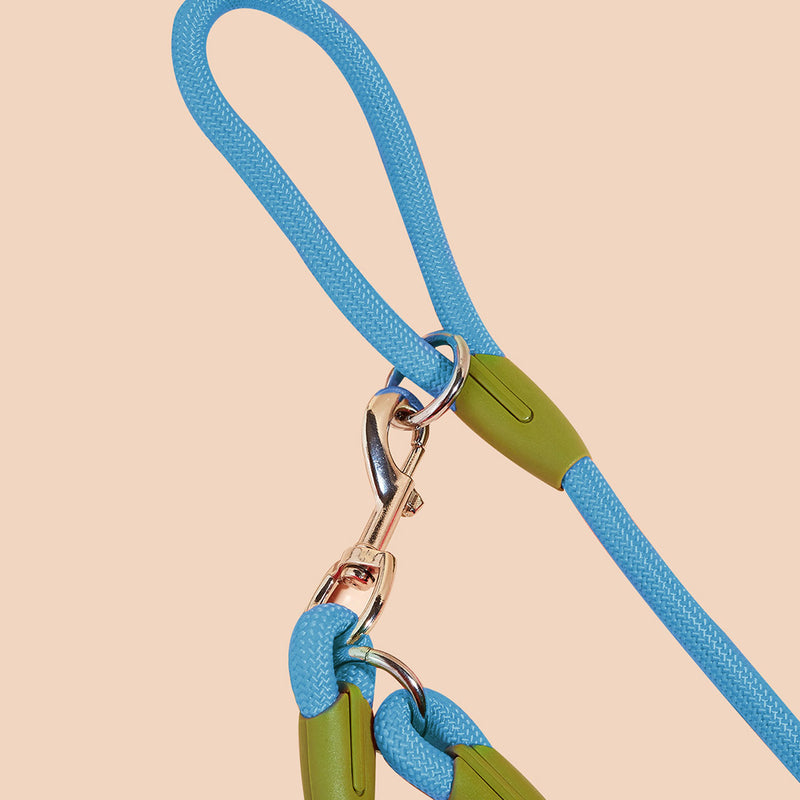 2X 220cm Polyester Rope Double Ended Hands Free Pet Leash For Dogs Cats Blue