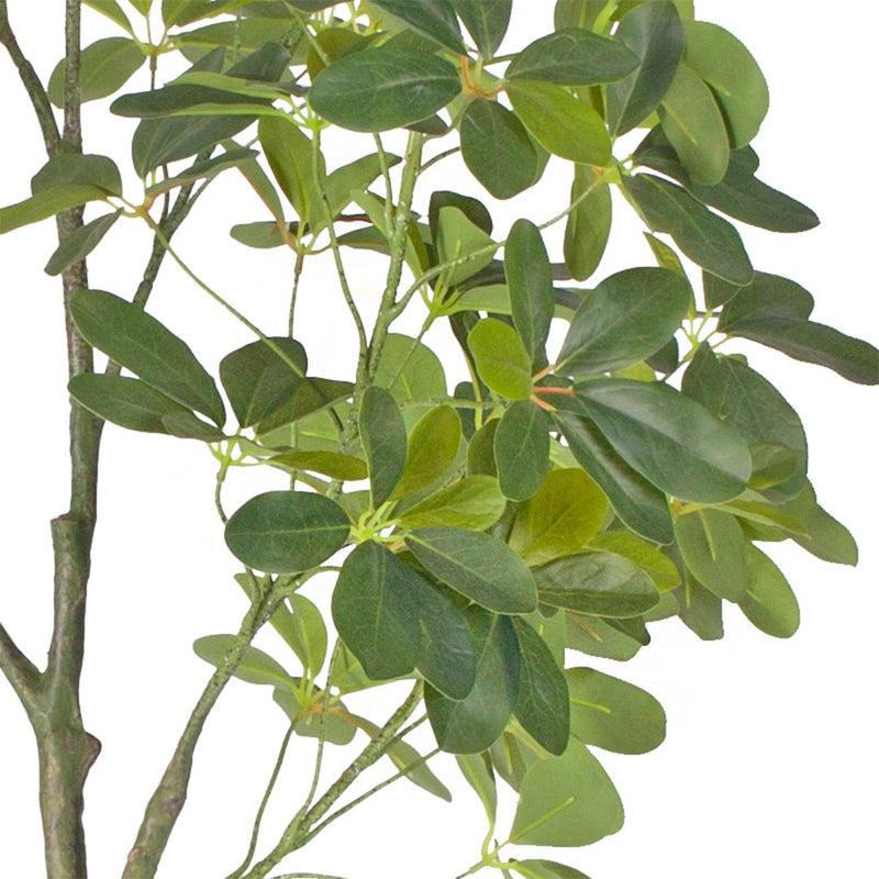 160cm Artificial Schefflera Umbrella Tree Polyethylene Green Black Pot