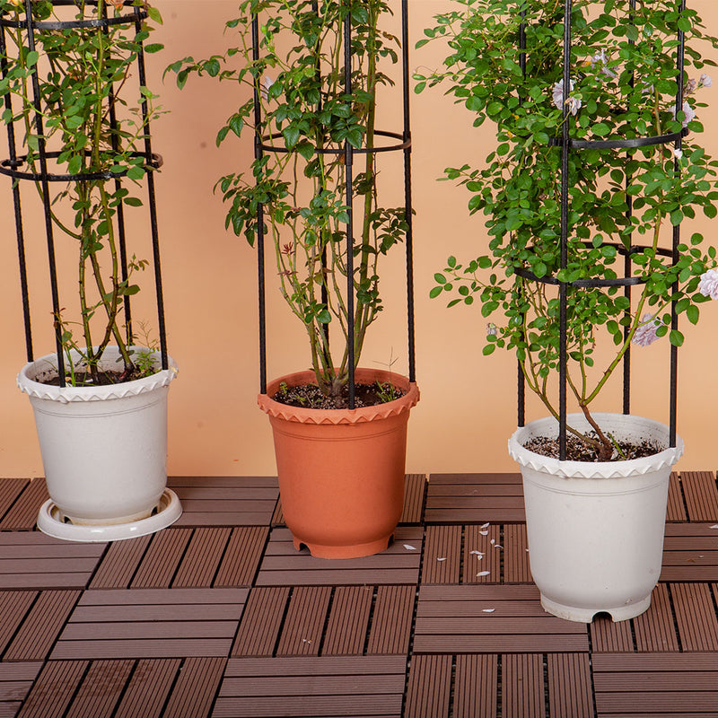 Plant Trellis 163cm 4 Bar Steel Black Adjustable Rings Vine Support