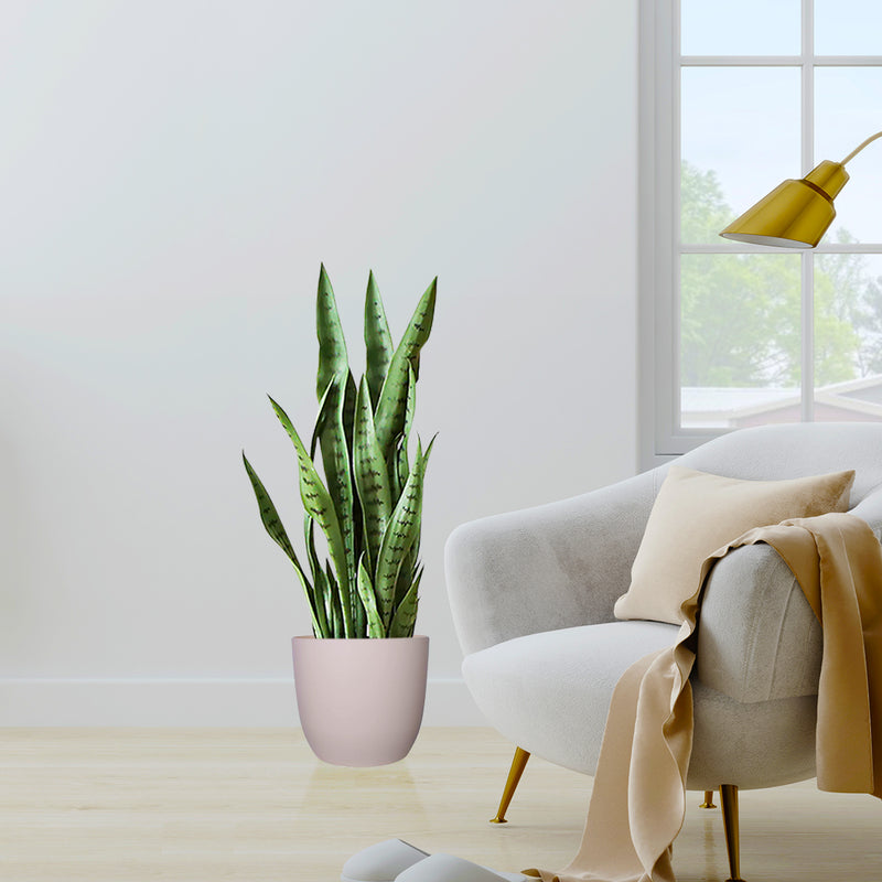 4X 97cm Sansevieria Snake Artificial Plants Plastic Black Planters Green