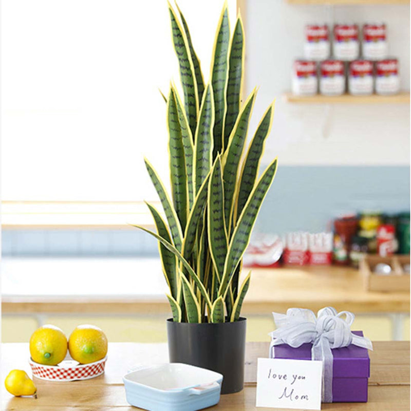 2X 50cm Artificial Yellow Edge Tiger Plant Realistic Indoor Decoration Pot