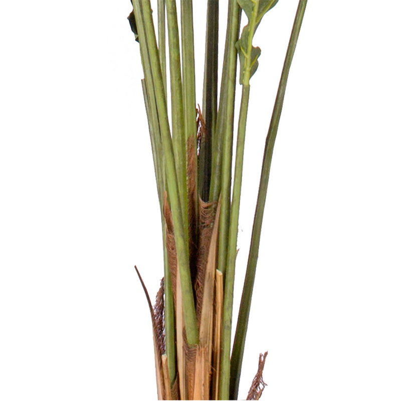 2X 210cm Artificial Hares Foot Fern Tree Polyethylene Green Black Cement Pot