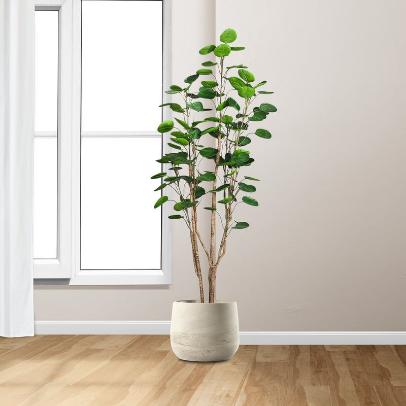 2X 180cm Artificial Polyscias Scutellaria Tree Potted Plastic Green Indoor