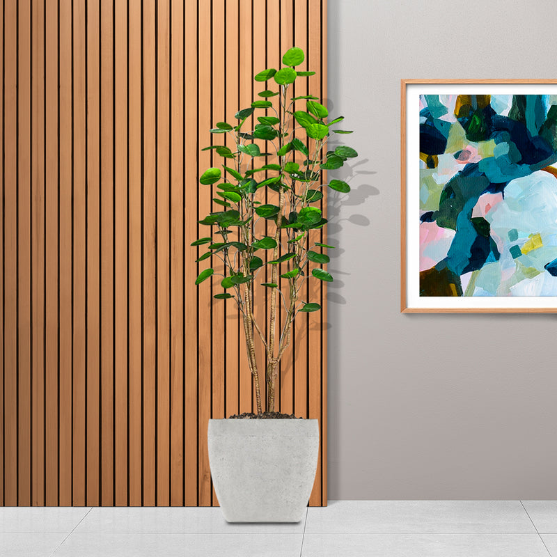 150cm Artificial Polyscias Scutellaria Tree Plastic PU Adjustable Green Indoor Decor