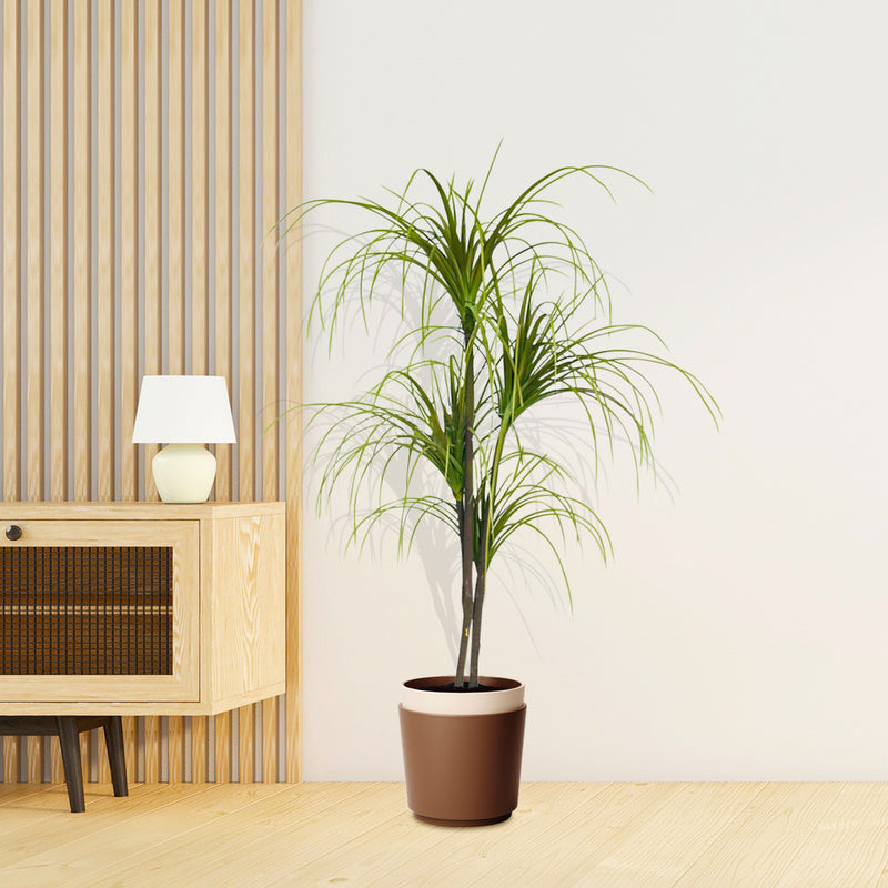 4X 150cm Artificial Realistic Polyscias Potted Plant Polyurethane Green