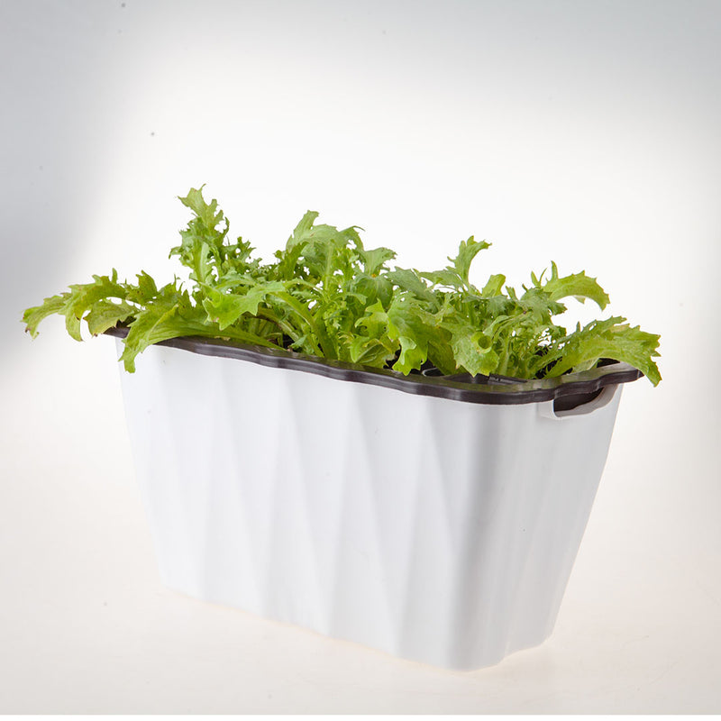 Small 35cm White Rectangular Plastic Planter Pot With Holder And Drainage