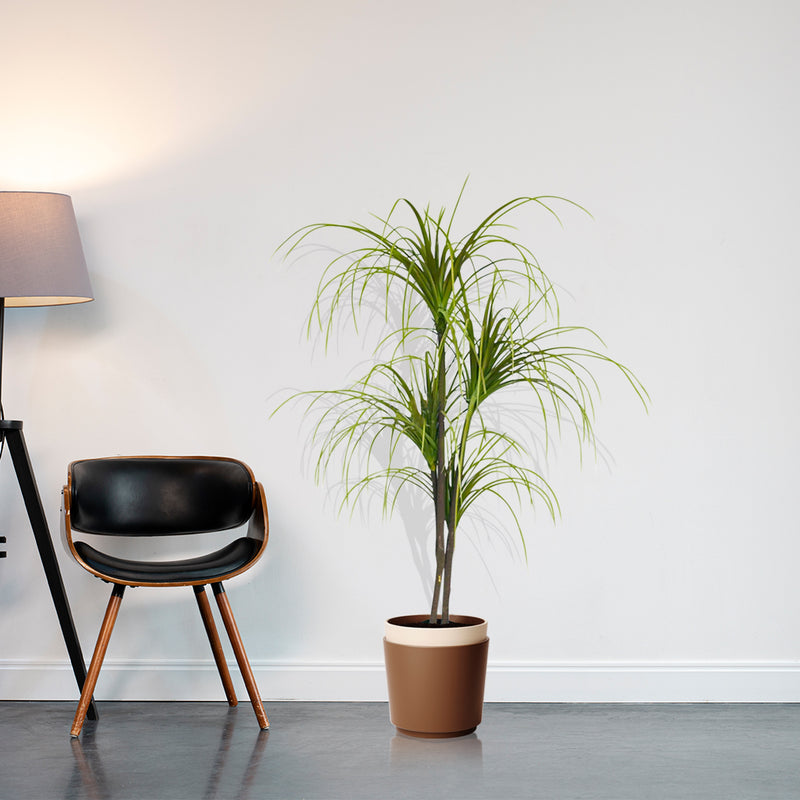 150cm Artificial Dracaena Plant Green Indoor Outdoor Home Office Decor