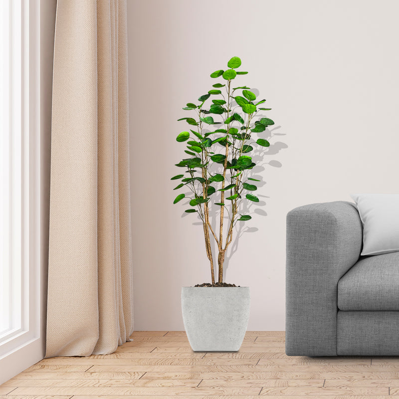 150cm Artificial Polyscias Scutellaria Tree Plastic PU Adjustable Green Indoor Decor