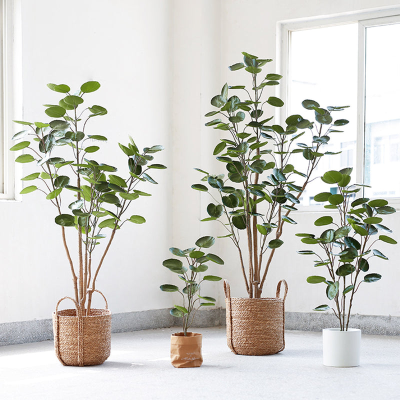 150cm Artificial Polyscias Scutellaria Tree Plastic PU Adjustable Green Indoor Decor