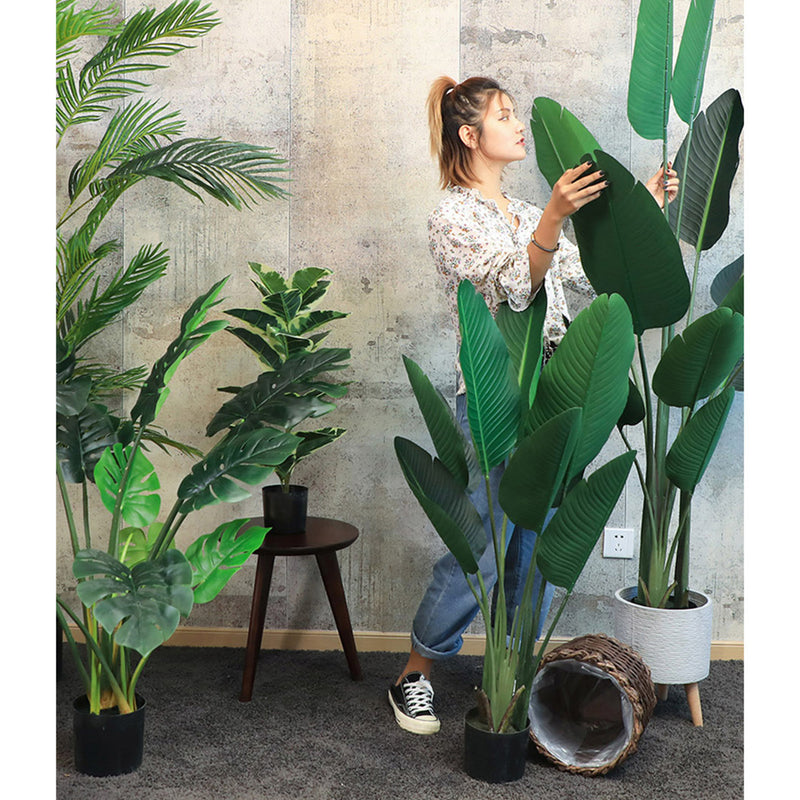 2X 180cm Artificial Bird of Paradise Plant in Pot with Woven Seagrass Basket
