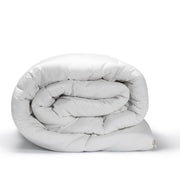 Casa Decor 360GSM Silk Touch Quilt - Single-1951134841101750278