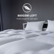 Royal Comfort 800GSM Silk Quilt - Queen-1951134843987431428