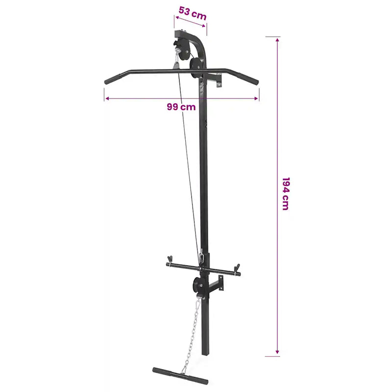 Wall-mounted Home Gym with 2 Pulleys