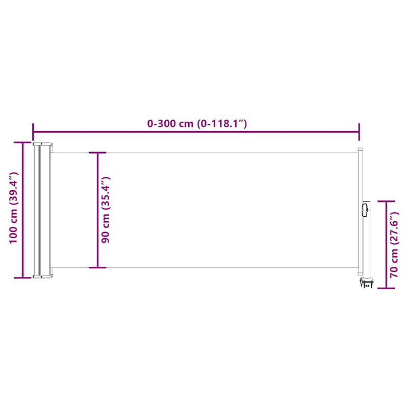 vidaXL Patio Retractable Side Awning 100 x 300 cm Grey