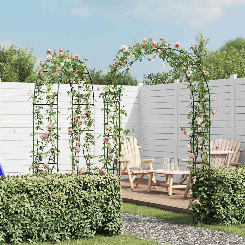 vidaXL Garden Arch 2 pcs Climbing Plants