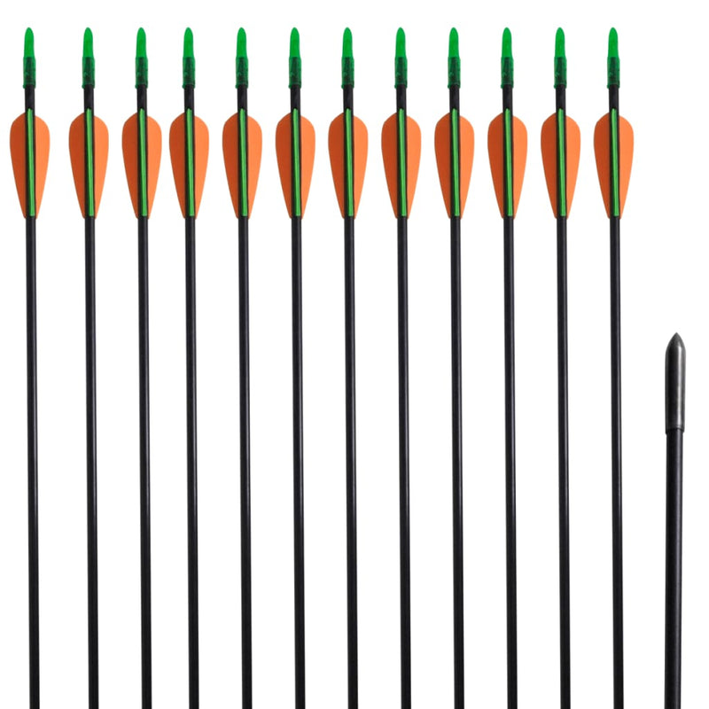 vidaXL Standard Recurve Bow Arrows 30" 0.6 cm Fiberglass 12 pcs