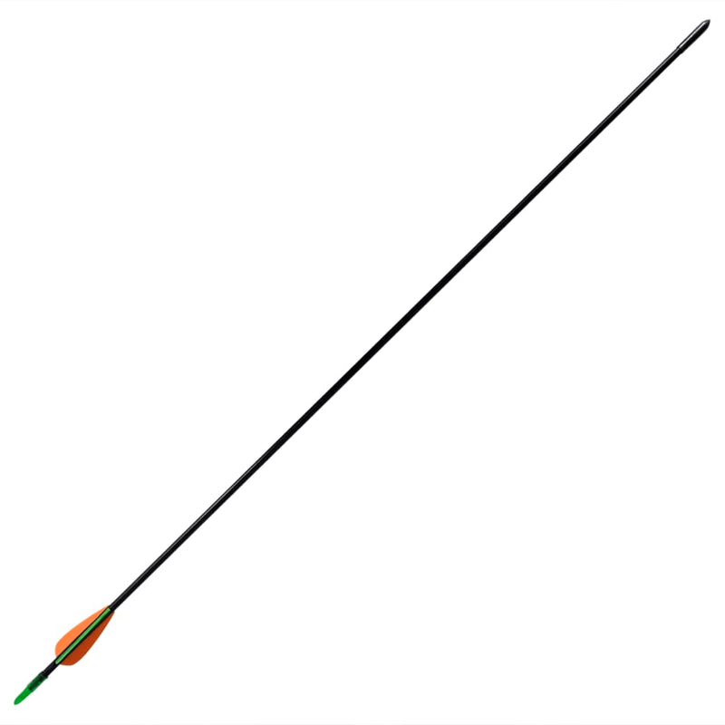vidaXL Standard Recurve Bow Arrows 30" 0.6 cm Fiberglass 12 pcs