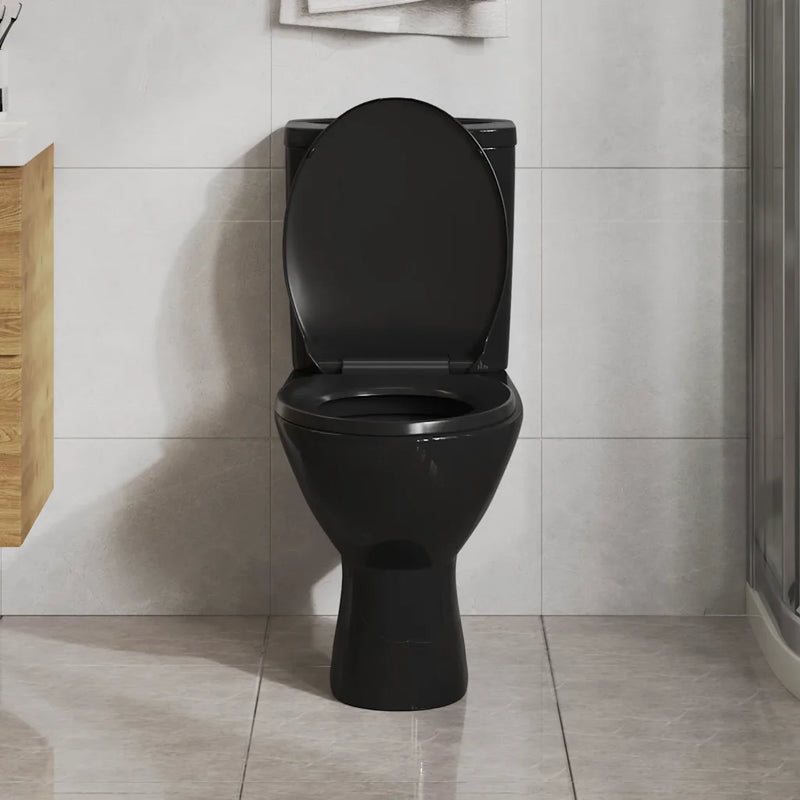 Soft-close Toilet Seat with Quick-release Design Black