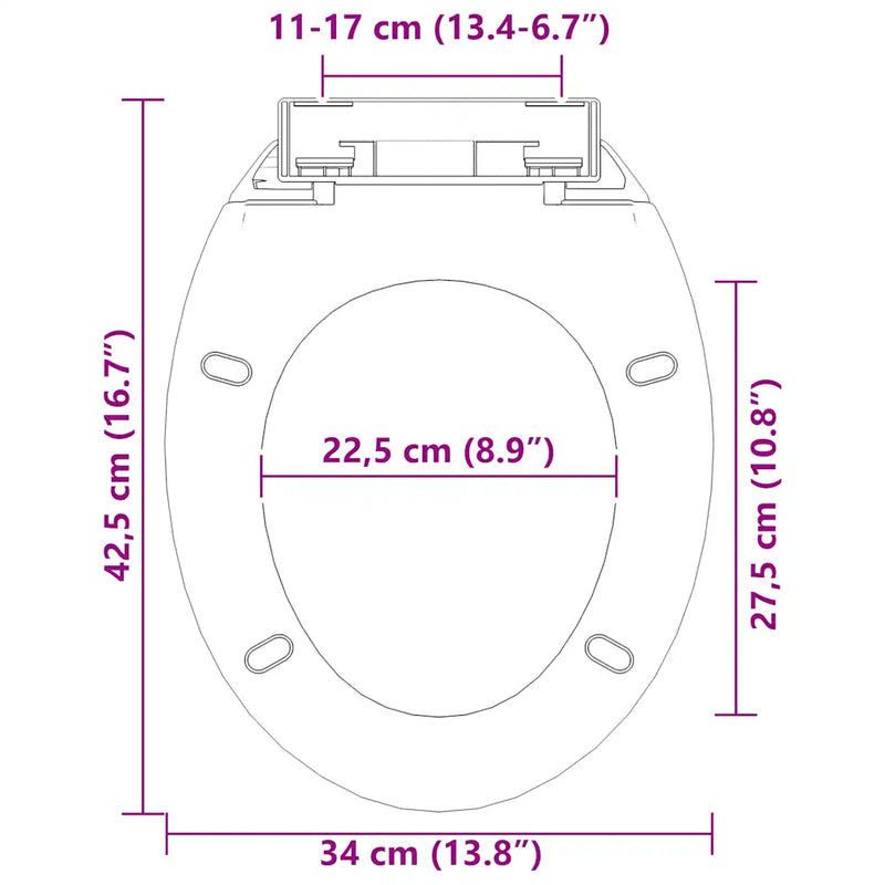 Soft-close Toilet Seat with Quick-release Design Black