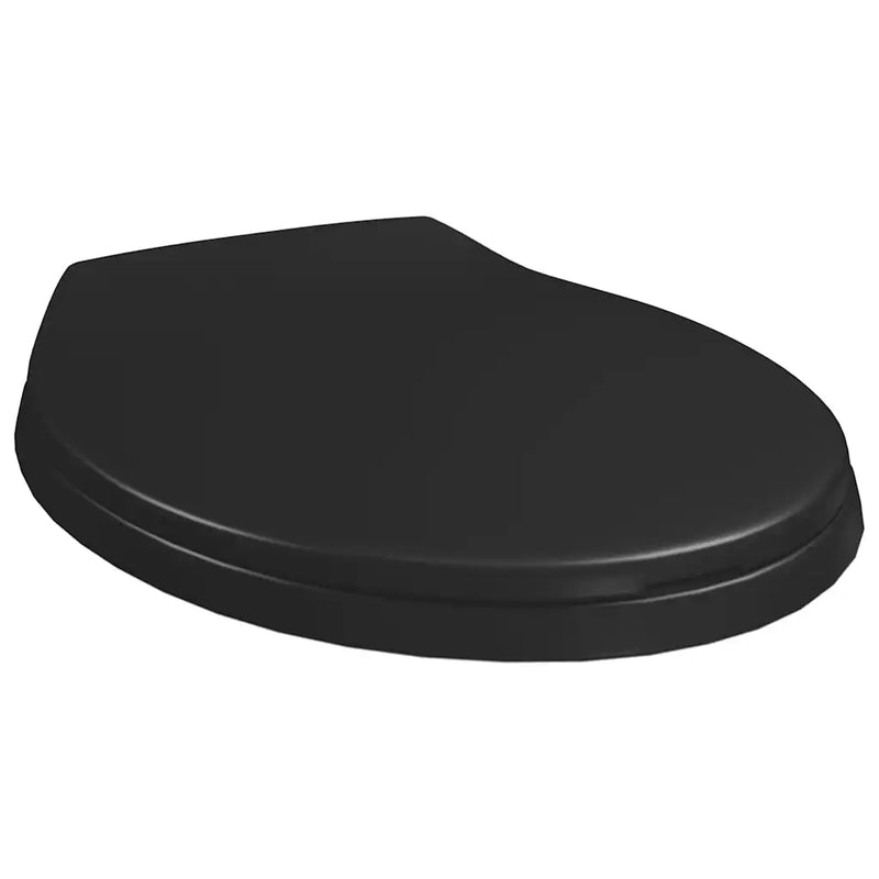 Soft-close Toilet Seat with Quick-release Design Black
