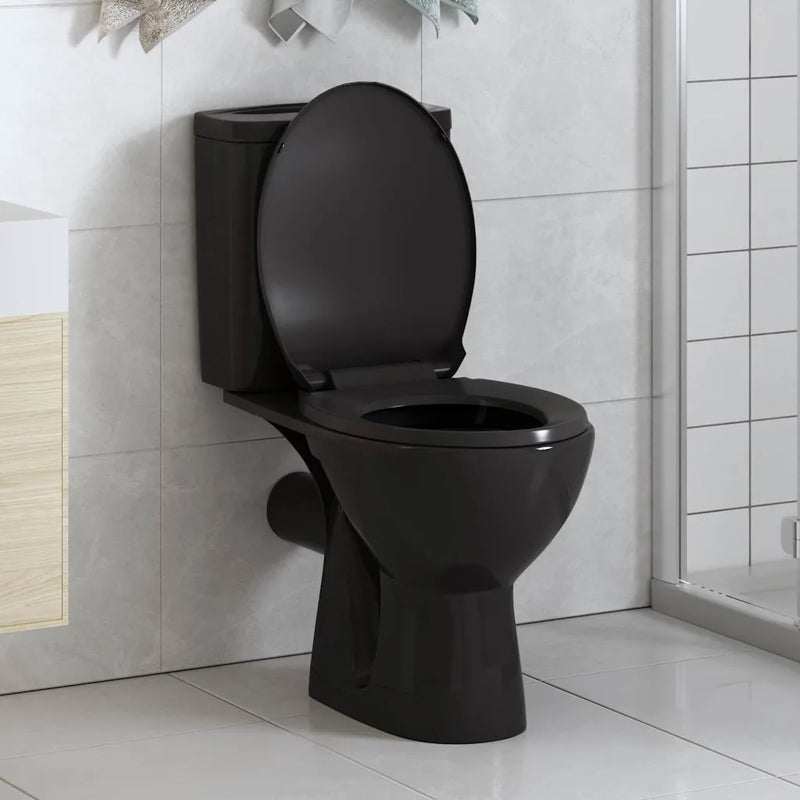 Soft-close Toilet Seat with Quick-release Design Black