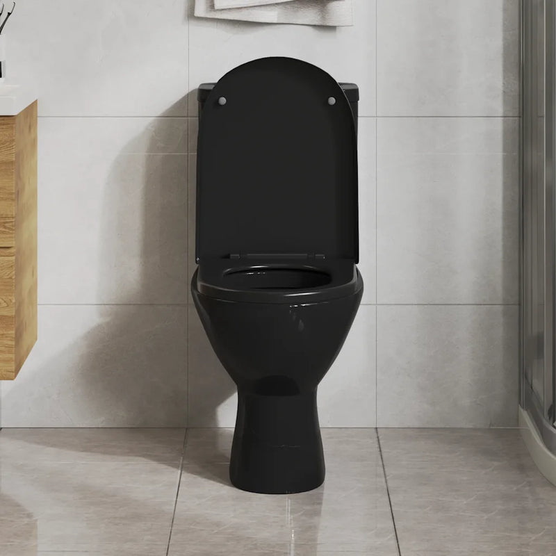 Soft-close Toilet Seat with Quick-release Design Black