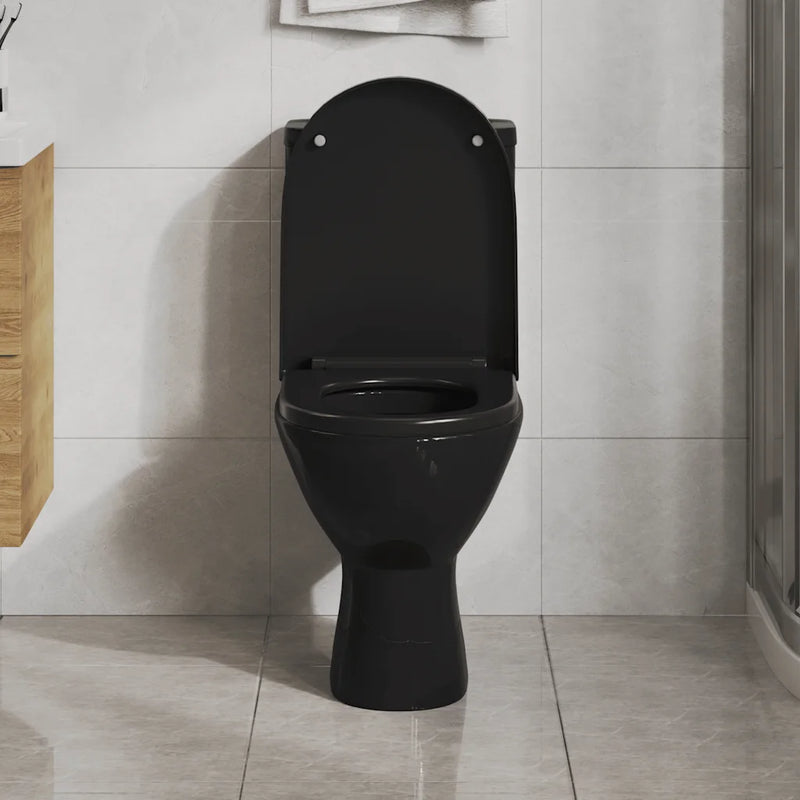 Soft-close Toilet Seat with Quick-release Design Black