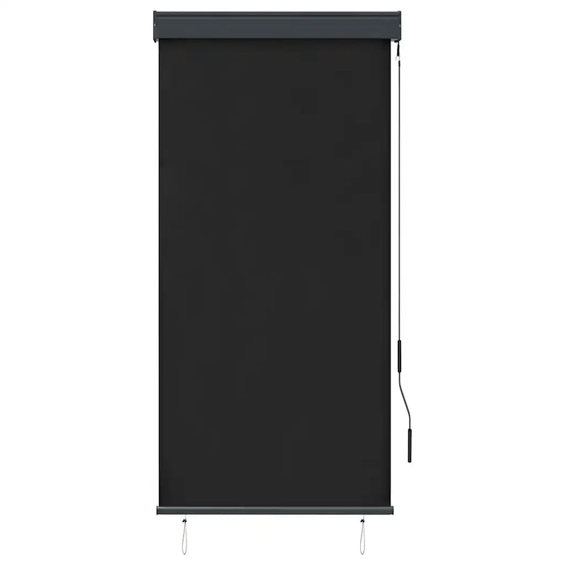 Outdoor Roller Blind 80x250 cm Anthracite