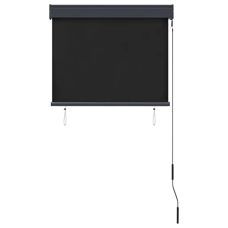 Outdoor Roller Blind 80x250 cm Anthracite