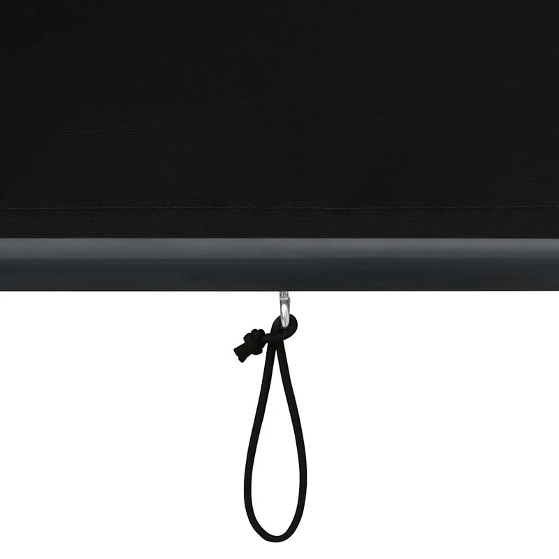 Outdoor Roller Blind 80x250 cm Anthracite