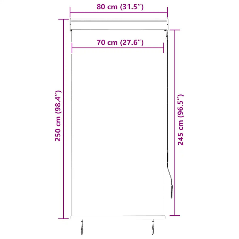 Outdoor Roller Blind 80x250 cm Anthracite