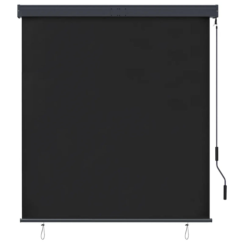 Outdoor Roller Blind 140x250 cm Anthracite