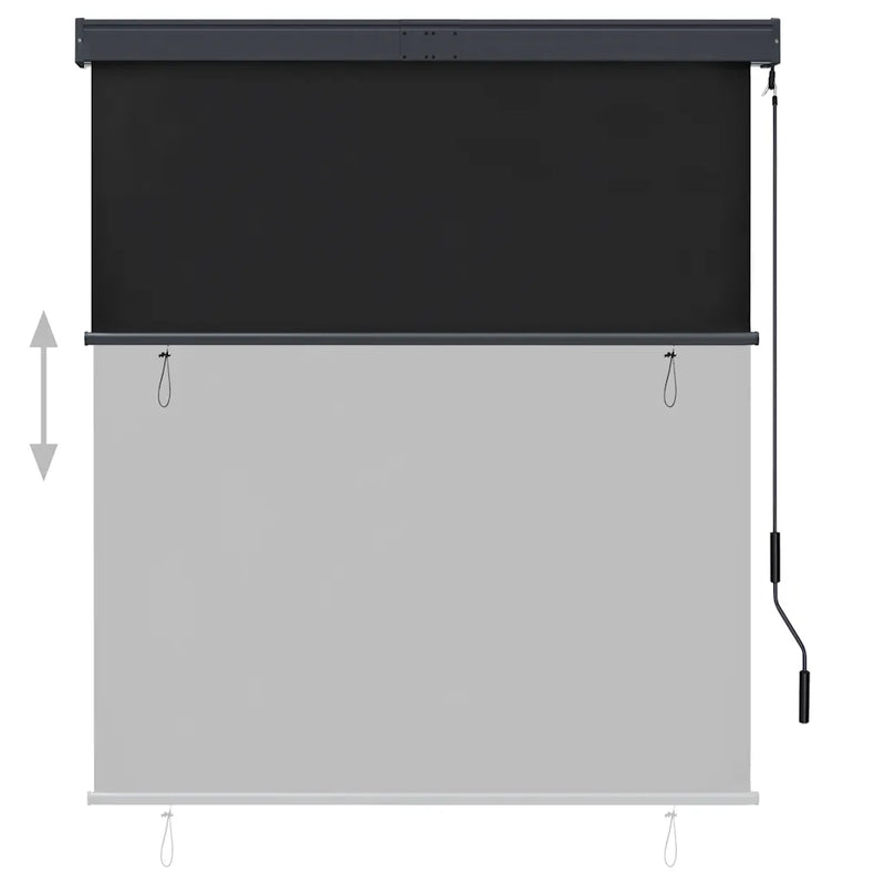 Outdoor Roller Blind 140x250 cm Anthracite