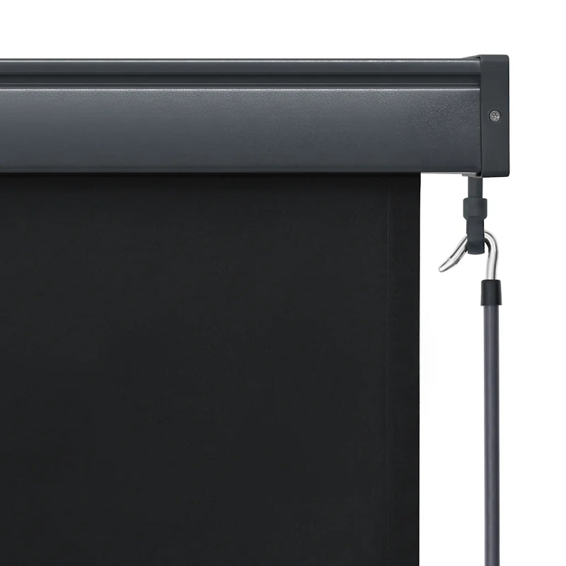 Outdoor Roller Blind 140x250 cm Anthracite