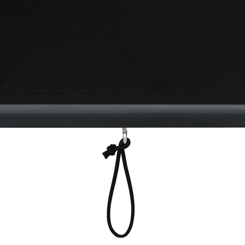 Outdoor Roller Blind 140x250 cm Anthracite