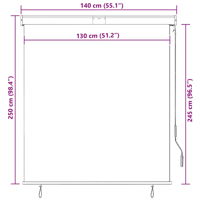 Outdoor Roller Blind 140x250 cm Anthracite
