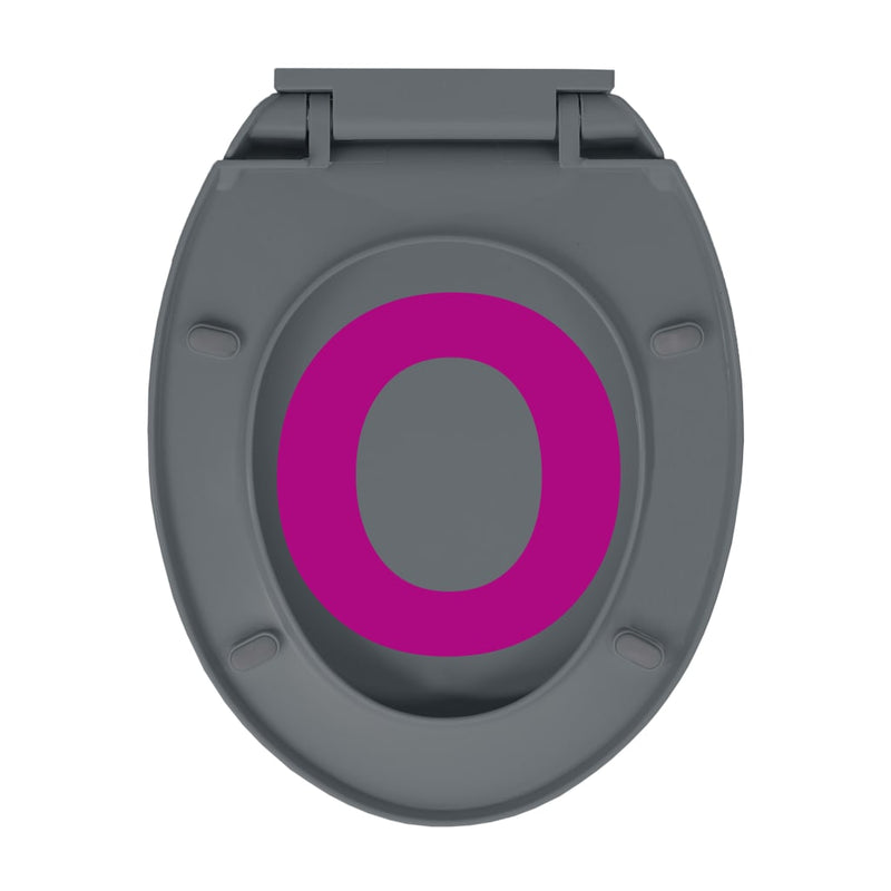 vidaXL Soft-Close Toilet Seat Quick Release Grey Oval
