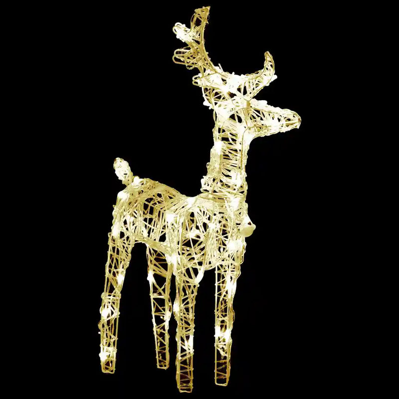 Christmas Reindeers 2 pcs Warm White 80 LEDs Acrylic
