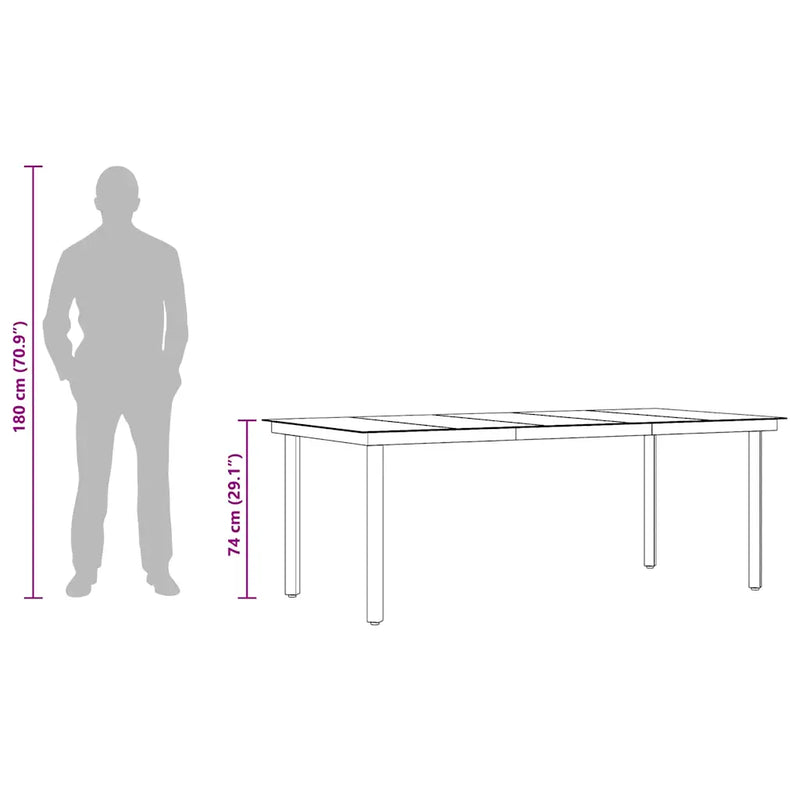 Garden Dining Table Black 200x100x74 cm Steel and Glass