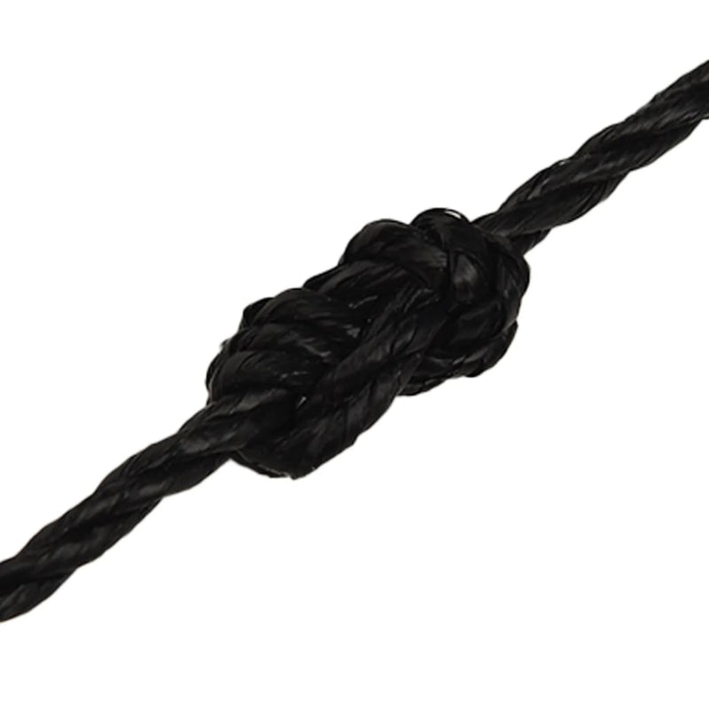 vidaXL Work Rope Black 6 mm 50 m Polypropylene