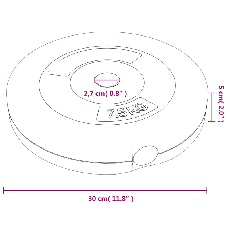 vidaXL Weight Plates 6 pcs 30 kg Cement
