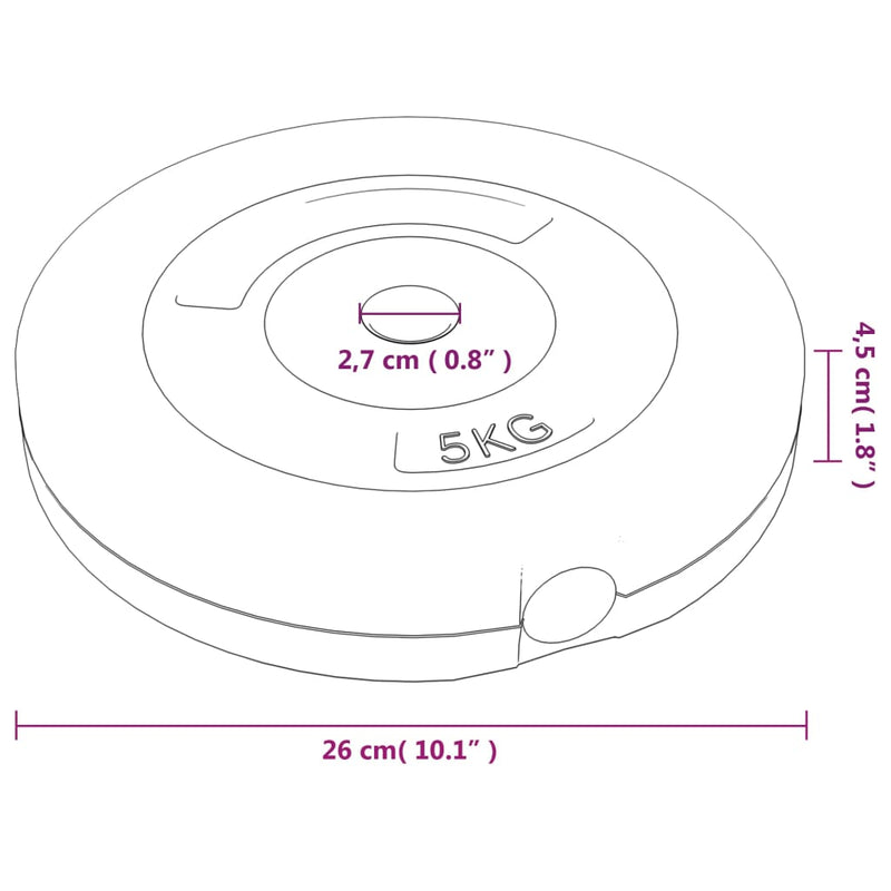 vidaXL Weight Plates 6 pcs 30 kg Cement