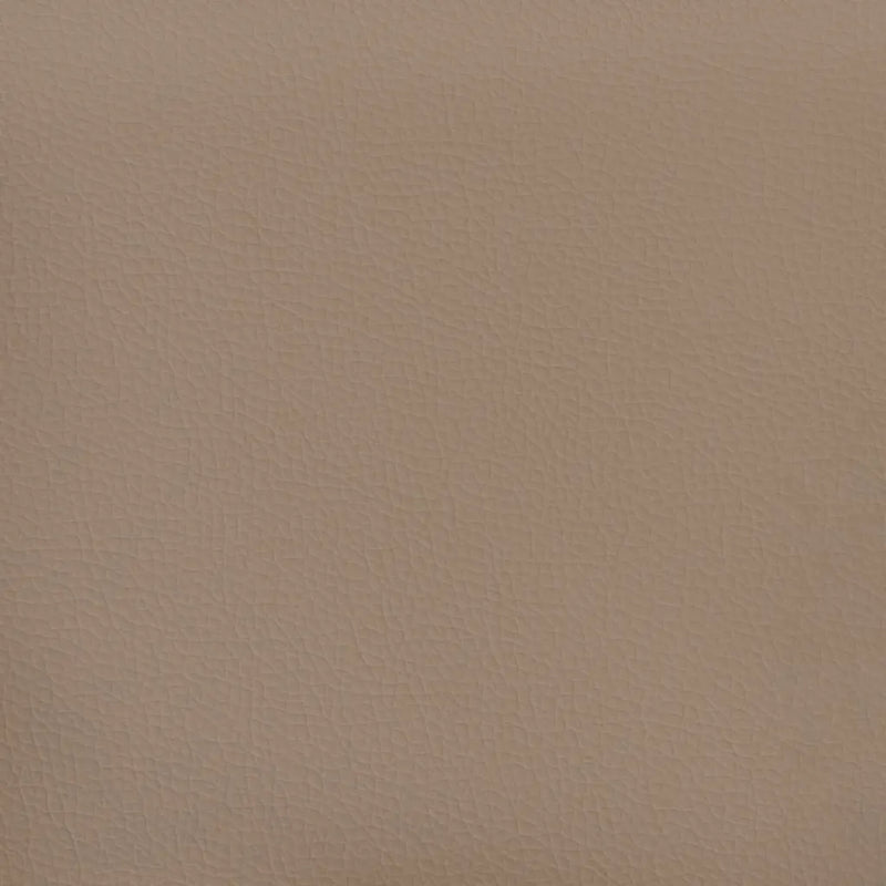 Throw Pillows 2 pcs Cappuccino 40x40 cm Faux Leather