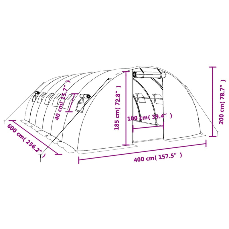 Greenhouse with Steel Frame White 24 m�� 6x4x2 m