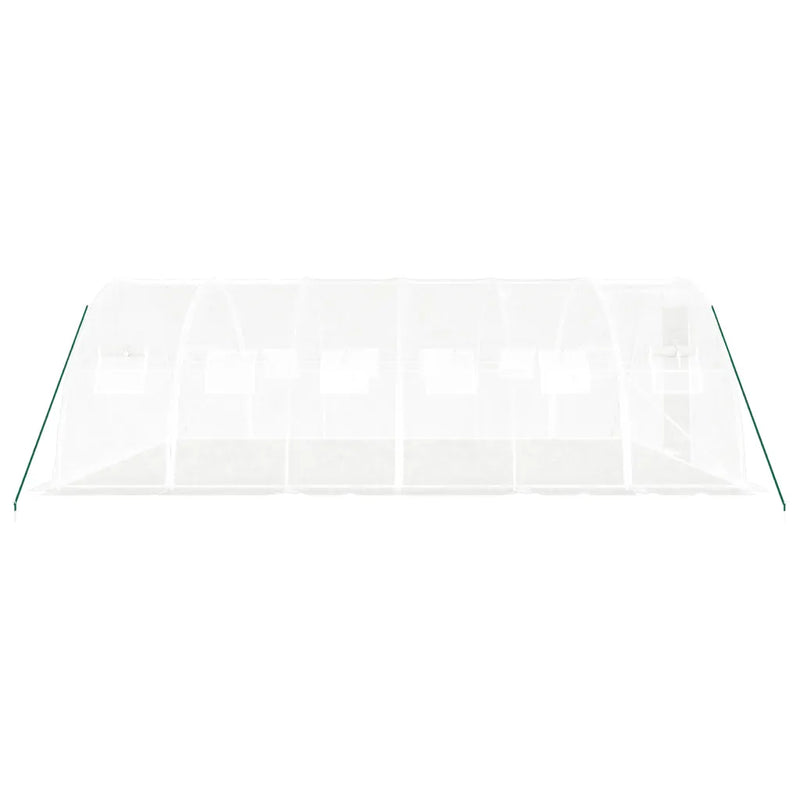 Greenhouse with Steel Frame White 24 m�� 6x4x2 m