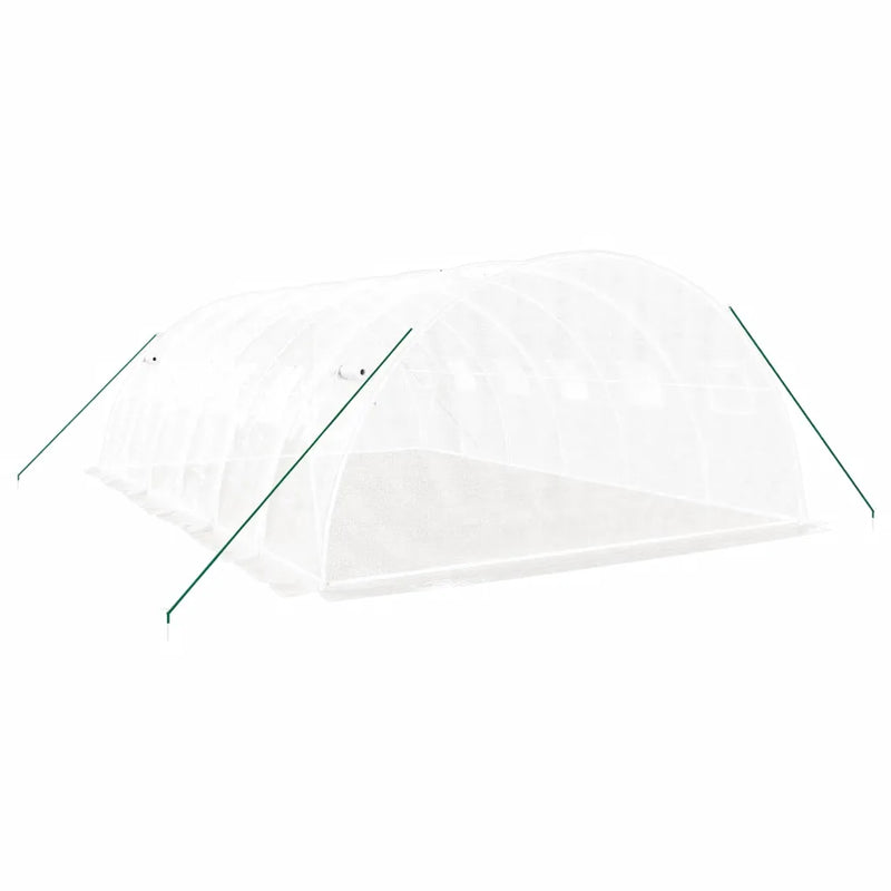 Greenhouse with Steel Frame White 24 m�� 6x4x2 m
