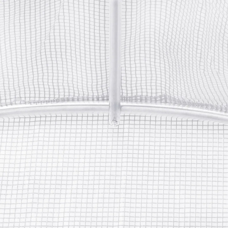Greenhouse with Steel Frame White 24 m�� 6x4x2 m